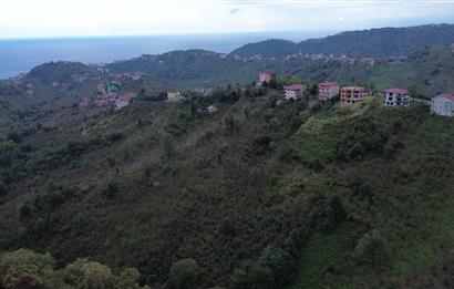 ARSİN YEŞİLYALI SATILIK ARAZİ