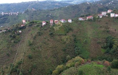 ARSİN YEŞİLYALI SATILIK ARAZİ