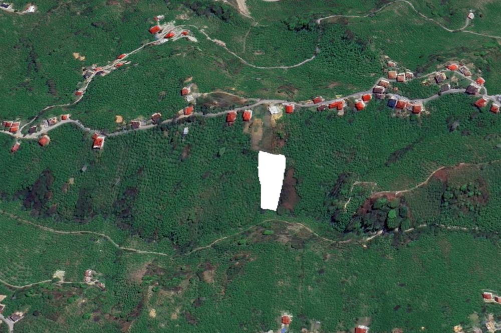 ARSİN YEŞİLYALI SATILIK ARAZİ