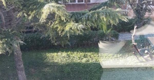 Kentsel Dönüşüm Onaylı Büyükçekmece Sahilde Yatırım Fırsatı - 29307