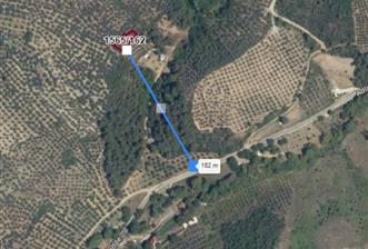 C21 Cius; Umurbey'de Bakımlı Müstakil Tapulu 352 m2 Zeytinlik - 10 - 29380