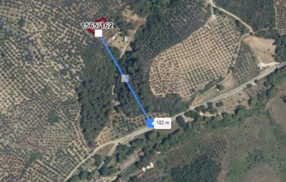 C21 Cius; Umurbey'de Bakımlı Müstakil Tapulu 352 m2 Zeytinlik