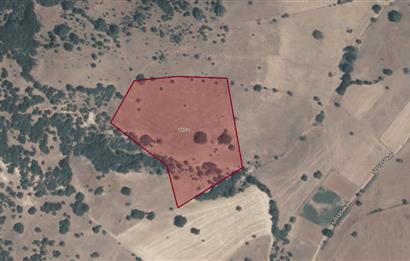 C21 WİNNER DURSUNBEY TEPEKÖY SATILIK MARJİNAL ARAZİ (GES)