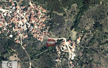 C21 Cius; Katırlı Köy İçi İmarlı Arsa 29 mt Ana Yola Cephe