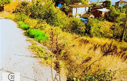 C21 Cius; Katırlı Köy İçi İmarlı Arsa 29 mt Ana Yola Cephe