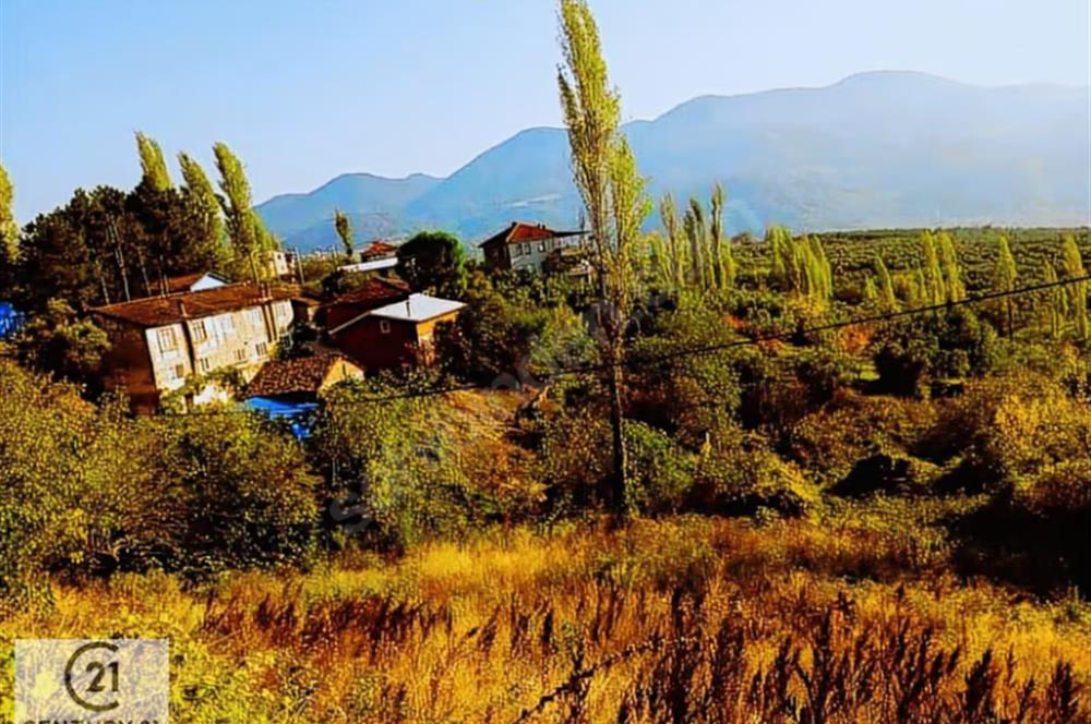 C21 Cius; Katırlı Köy İçi İmarlı Arsa 29 mt Ana Yola Cephe