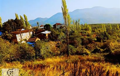 C21 Cius; Katırlı Köy İçi İmarlı Arsa 29 mt Ana Yola Cephe