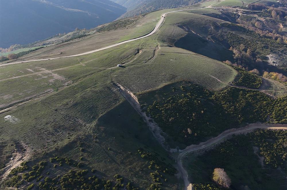 C21 Cius;Şahinyurdunda 4.837 m2 Ulaşımı Kolay Satılık Tarla