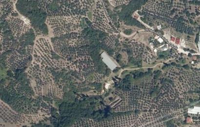 C21 Cius; Gemlik Muratoba'da 504 m2 Fırsat Zeytinlik