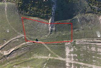 C21 Cius;Şahinyurdunda 4.837 m2 Ulaşımı Kolay Satılık Tarla - 4 - 29406