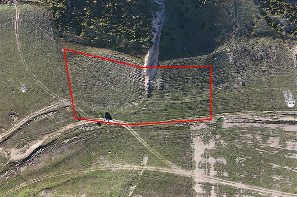 C21 Cius;Şahinyurdunda 4.837 m2 Ulaşımı Kolay Satılık Tarla