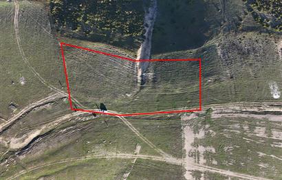 C21 Cius;Şahinyurdunda 4.837 m2 Ulaşımı Kolay Satılık Tarla