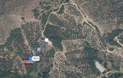 C21 Cius; Gemlik Muratoba'da 504 m2 Fırsat Zeytinlik