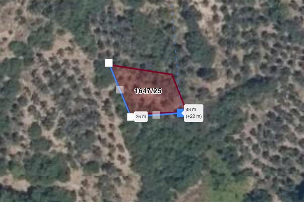 C21 Cius; Gemlik Muratoba'da 504 m2 Fırsat Zeytinlik