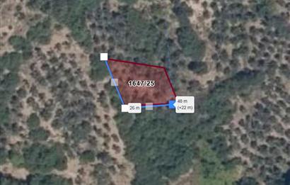 C21 Cius; Gemlik Muratoba'da 504 m2 Fırsat Zeytinlik