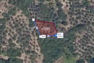 C21 Cius; Gemlik Muratoba'da 504 m2 Fırsat Zeytinlik - 5 - 29417