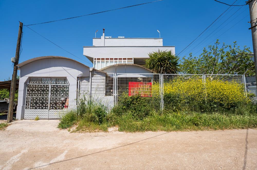 C21 Cius; Gençali Kumsaz'da Komple Bina