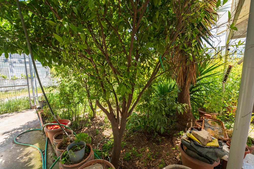 C21 Cius; Gençali Kumsaz'da Komple Bina