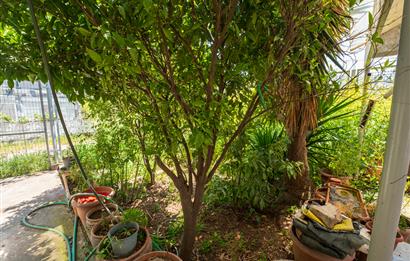 C21 Cius; Gençali Kumsaz'da Komple Bina