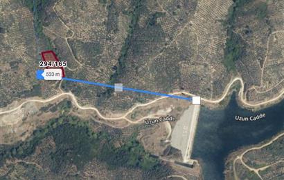 C21 Cius; Küçükkumla'da 3660 M2 Satılık Zeytinlik