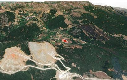 C21 Cius;Şahinyurdunda 6.975 m2 Ulaşımı Kolay Satılık Zeytinlik