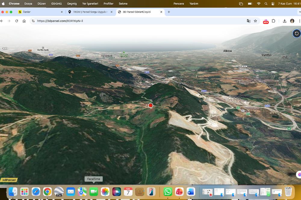 C21 Cius;Şahinyurdunda 6.975 m2 Ulaşımı Kolay Satılık Zeytinlik