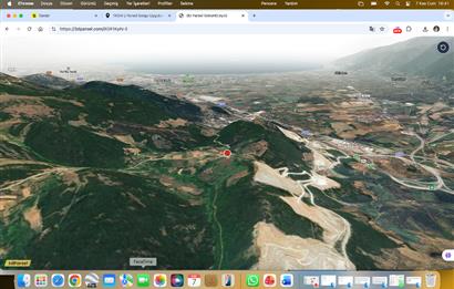 C21 Cius;Şahinyurdunda 6.975 m2 Ulaşımı Kolay Satılık Zeytinlik