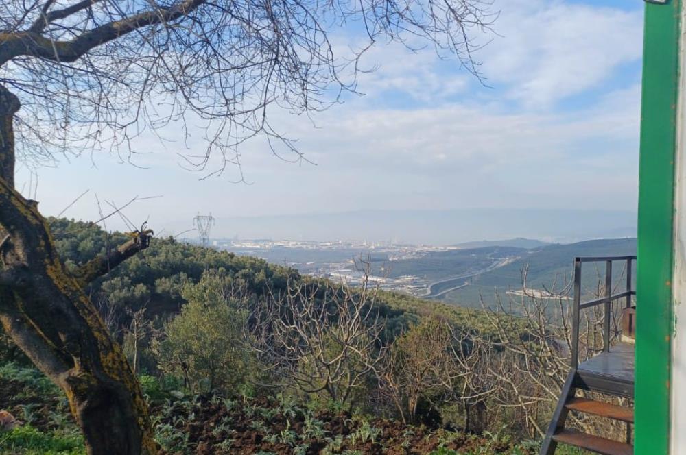 C21 Cius; Yeniköy'de Deniz Manzaralı Bahçe