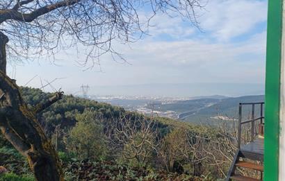 C21 Cius; Yeniköy'de Deniz Manzaralı Bahçe