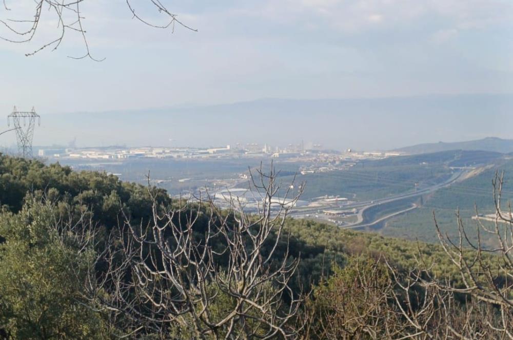 C21 Cius; Yeniköy'de Deniz Manzaralı Bahçe
