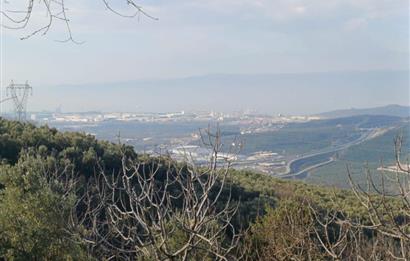 C21 Cius; Yeniköy'de Deniz Manzaralı Bahçe