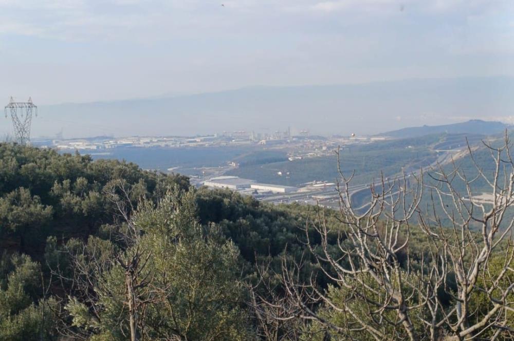 C21 Cius; Yeniköy'de Deniz Manzaralı Bahçe