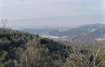 C21 Cius; Yeniköy'de Deniz Manzaralı Bahçe