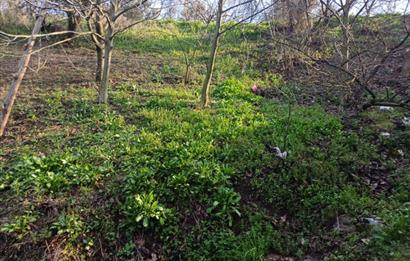 C21 Cius; Yeniköy'de Deniz Manzaralı Bahçe