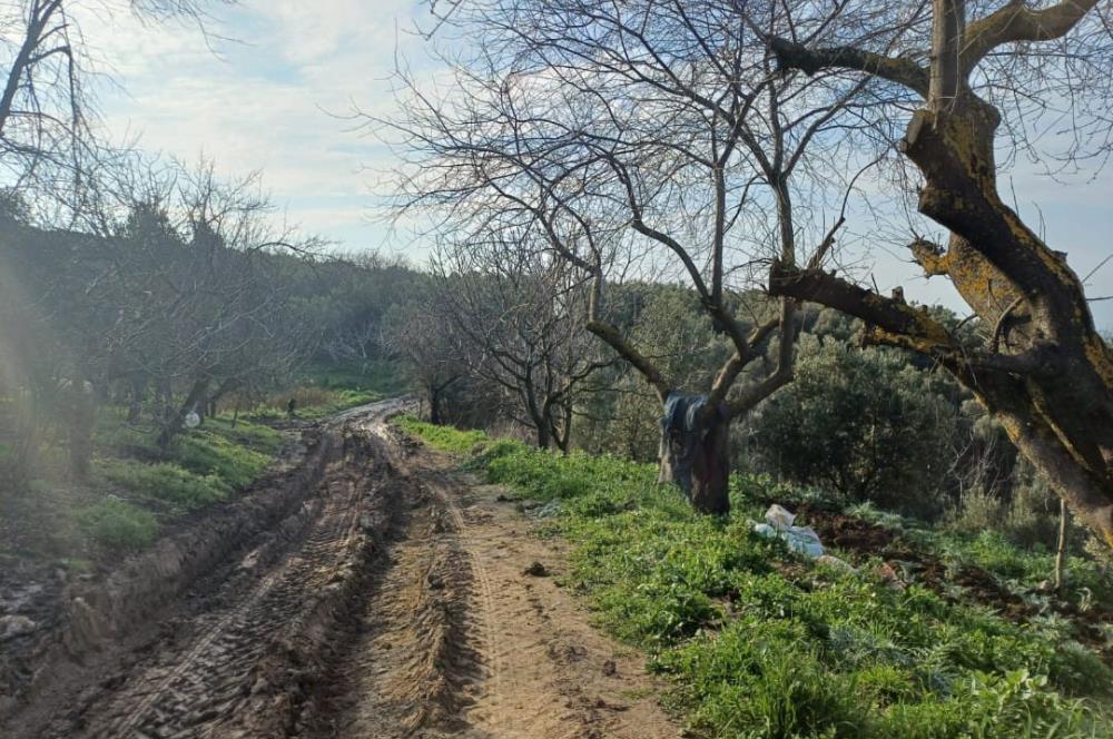 C21 Cius; Yeniköy'de Deniz Manzaralı Bahçe