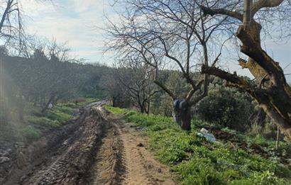 C21 Cius; Yeniköy'de Deniz Manzaralı Bahçe
