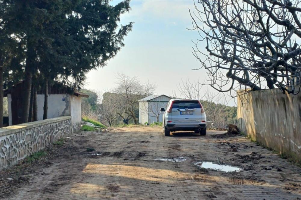 C21 Cius; Yeniköy'de Deniz Manzaralı Bahçe