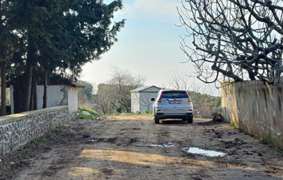 C21 Cius; Yeniköy'de Deniz Manzaralı Bahçe