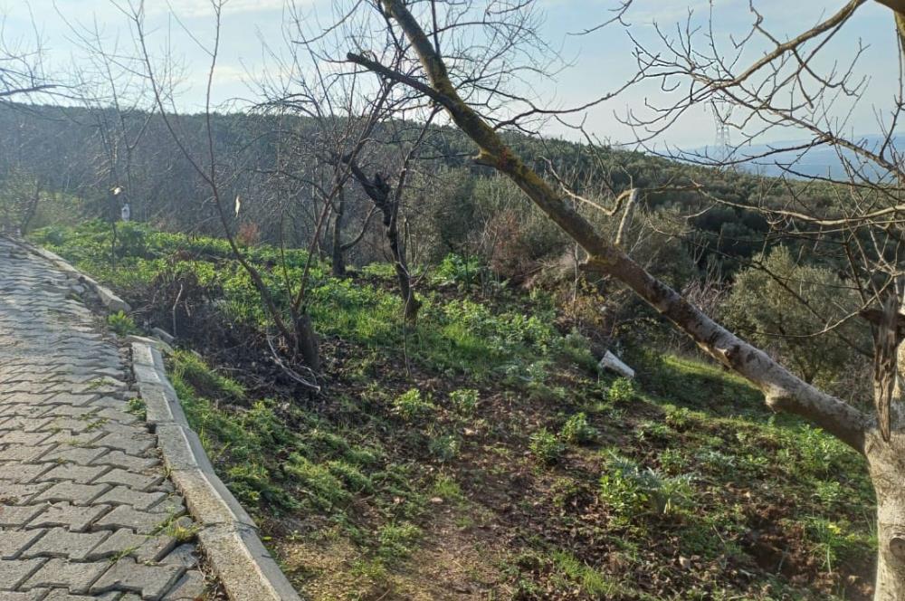 C21 Cius; Yeniköy'de Deniz Manzaralı Bahçe