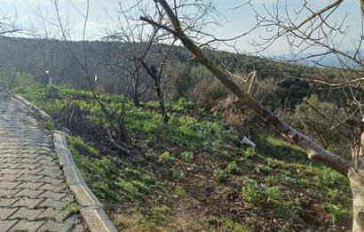 C21 Cius; Yeniköy'de Deniz Manzaralı Bahçe