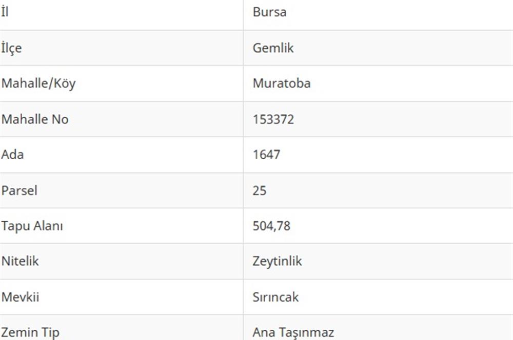 C21 Cius; Gemlik Muratoba'da 504 m2 Fırsat Zeytinlik