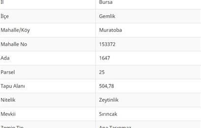 C21 Cius; Gemlik Muratoba'da 504 m2 Fırsat Zeytinlik