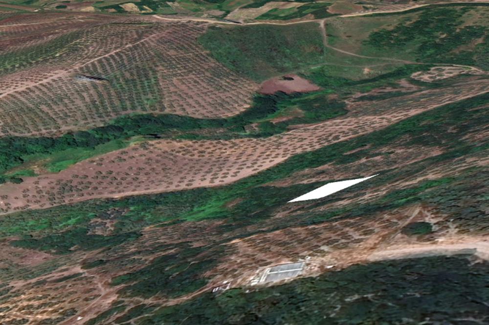 C21 Cius; Gemlik Muratoba'da 504 m2 Fırsat Zeytinlik