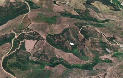 C21 Cius; Gemlik Muratoba'da 504 m2 Fırsat Zeytinlik