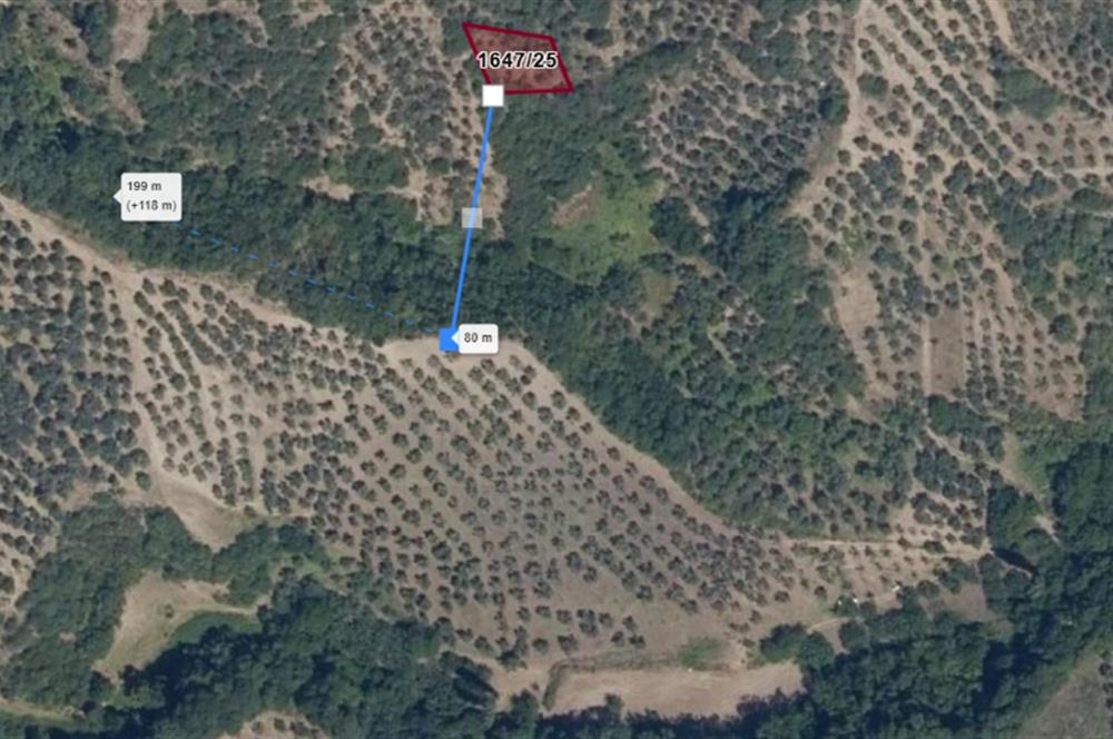 C21 Cius; Gemlik Muratoba'da 504 m2 Fırsat Zeytinlik