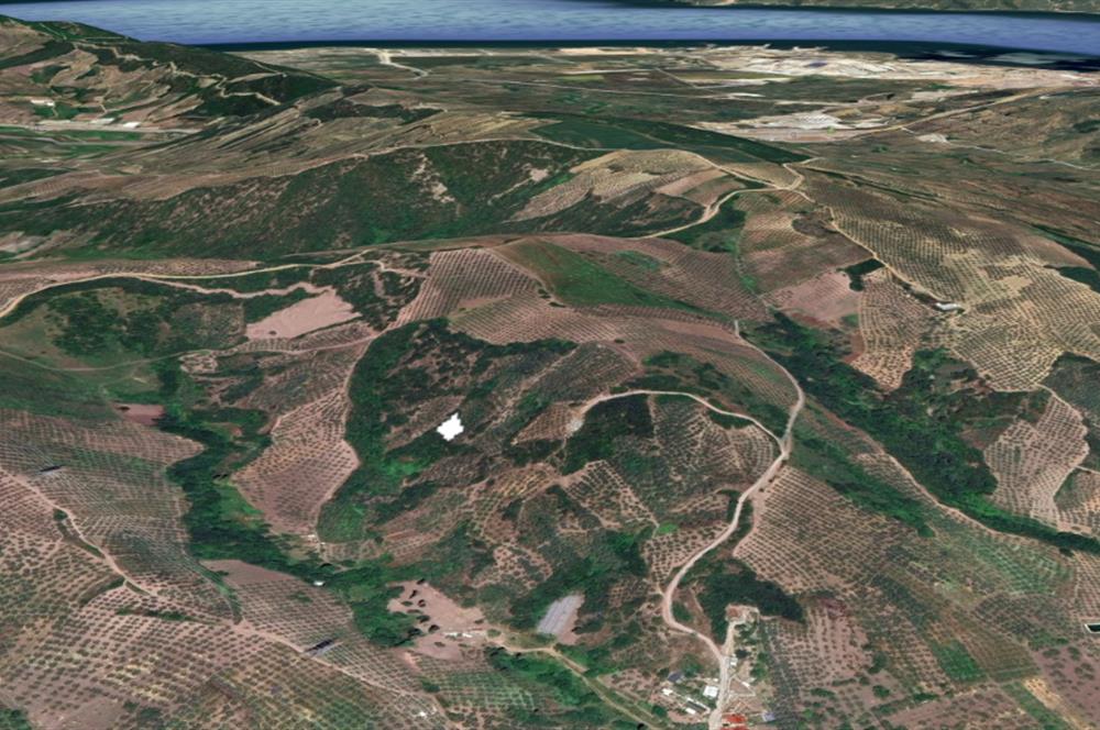 C21 Cius; Gemlik Muratoba'da 504 m2 Fırsat Zeytinlik
