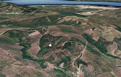 C21 Cius; Gemlik Muratoba'da 504 m2 Fırsat Zeytinlik