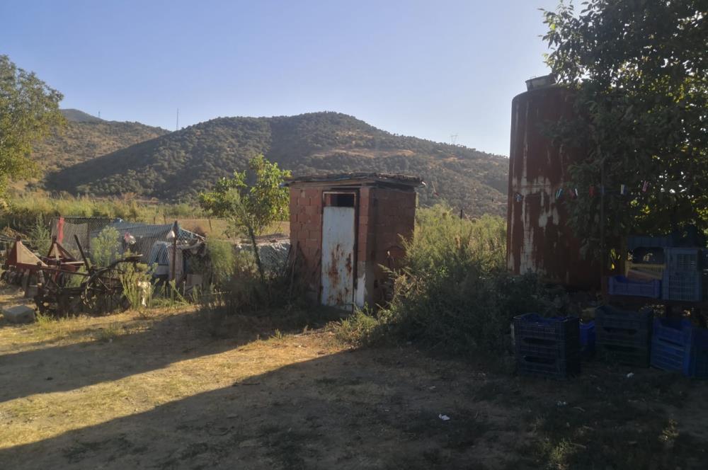 C21 Cius; Aydın Çine Bahçearası Muhteşem Verimli ve Kurulu Arazi