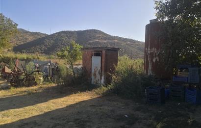 C21 Cius; Aydın Çine Bahçearası Muhteşem Verimli ve Kurulu Arazi