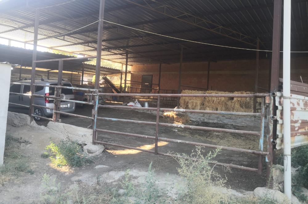 C21 Cius; Aydın Çine Bahçearası Muhteşem Verimli ve Kurulu Arazi